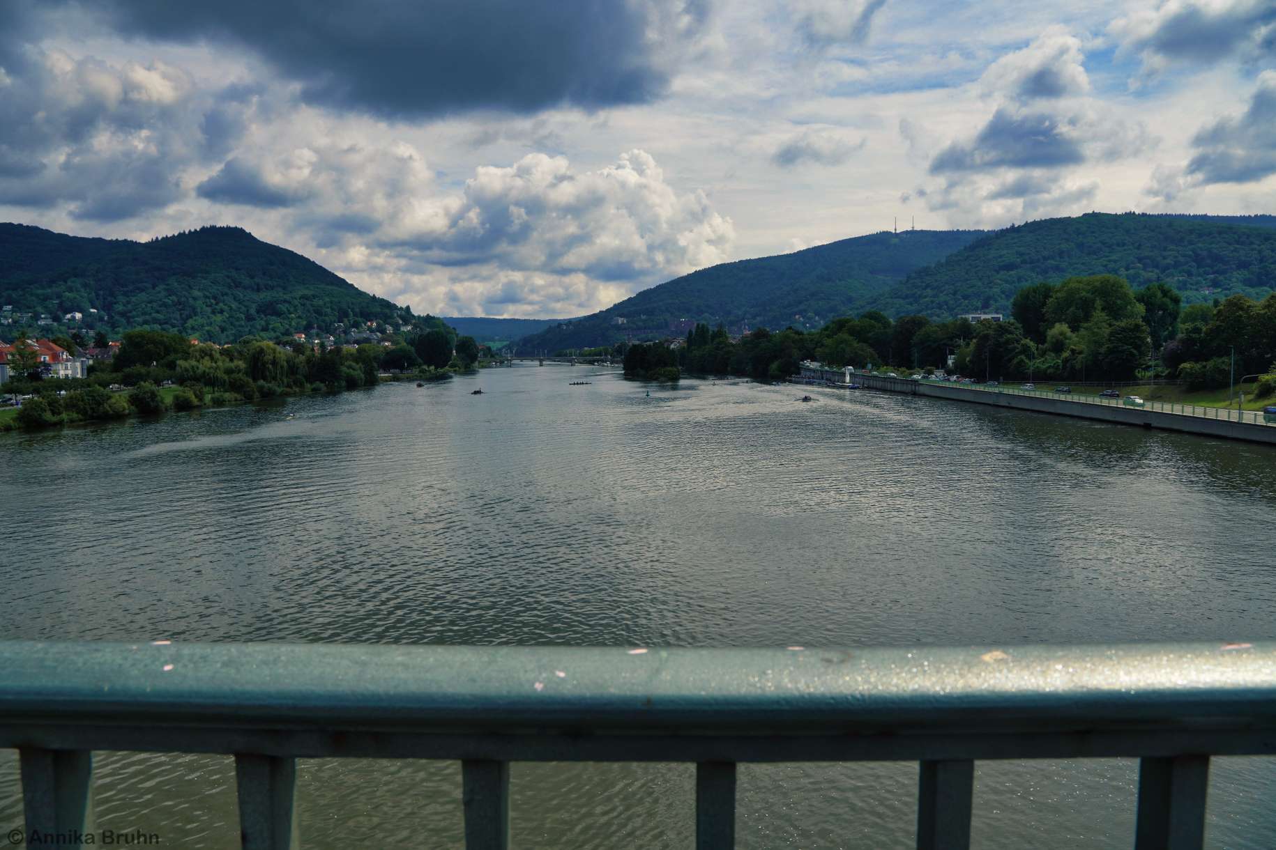 Der Neckar in Heidelberg